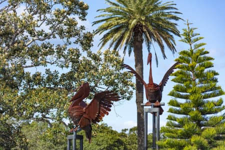 Aerial Image of ROSE BAY