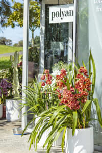 Aerial Image of VAUCLUSE
