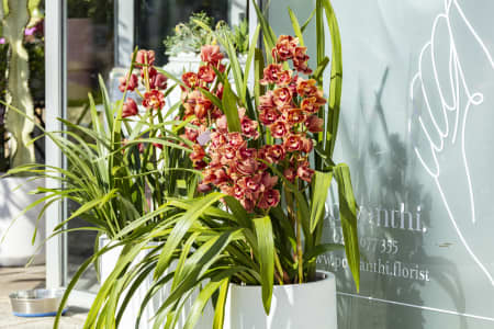 Aerial Image of VAUCLUSE