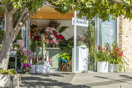 Aerial Image of VAUCLUSE