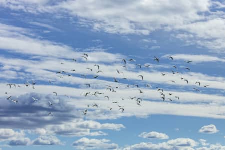 Aerial Image of WATSONS BAY