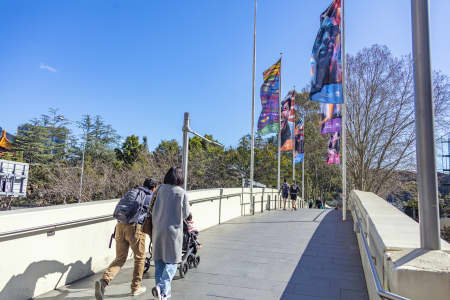 Aerial Image of SYDNEY
