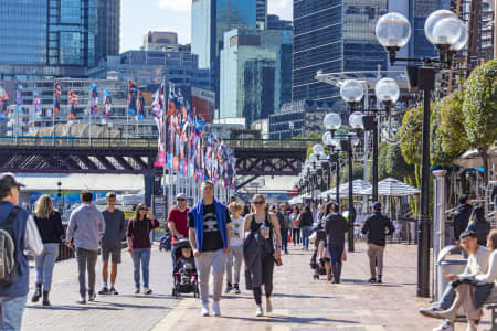 Aerial Image of SYDNEY