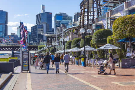 Aerial Image of SYDNEY