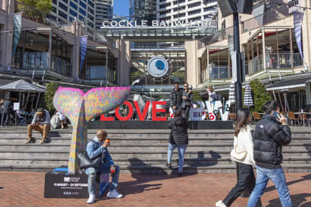 Aerial Image of SYDNEY