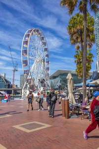 Aerial Image of SYDNEY