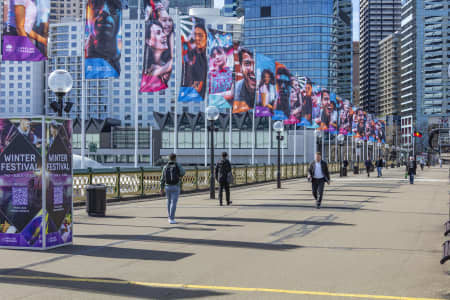 Aerial Image of PYRMONT BRIDGE
