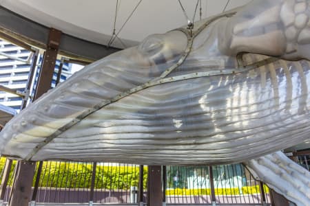 Aerial Image of COCKLE BAY WHARF