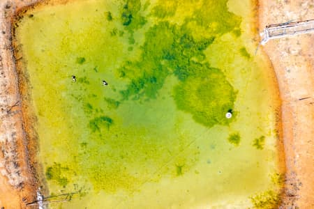 Aerial Image of NEWDEGATE