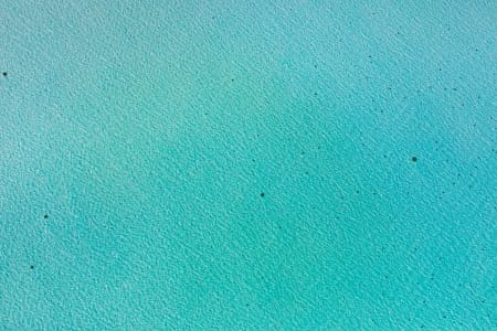 Aerial Image of North Coogee