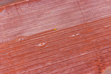 Aerial Image of WAGERUP