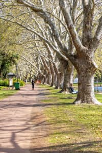 Aerial Image of PERTH