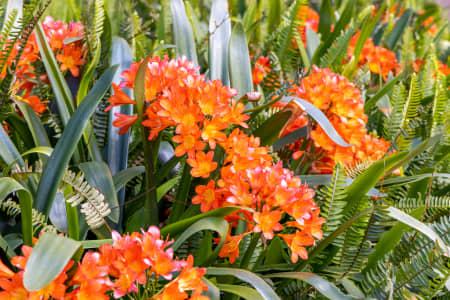 Aerial Image of PERTH