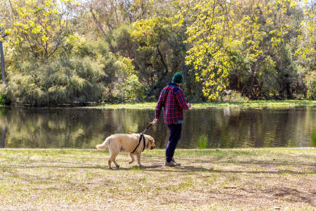 Aerial Image of PERTH