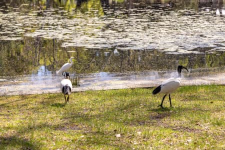 Aerial Image of PERTH