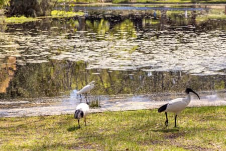 Aerial Image of PERTH