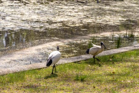 Aerial Image of PERTH