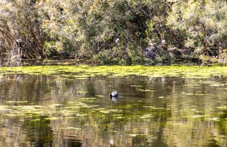 Aerial Image of PERTH