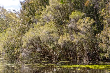 Aerial Image of Perth