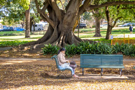 Aerial Image of NORTH PERTH
