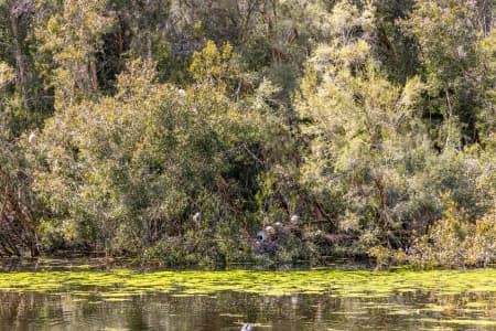 Aerial Image of PERTH