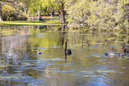 Aerial Image of PERTH