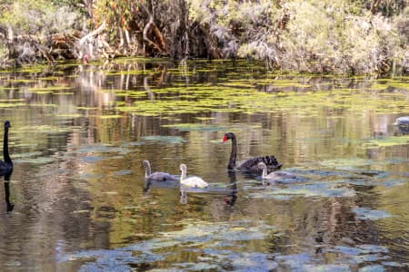 Aerial Image of PERTH