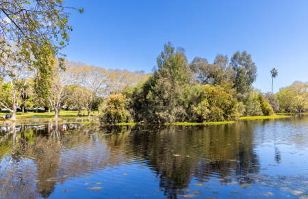 Aerial Image of PERTH