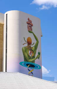 Aerial Image of NORTHBRIDGE