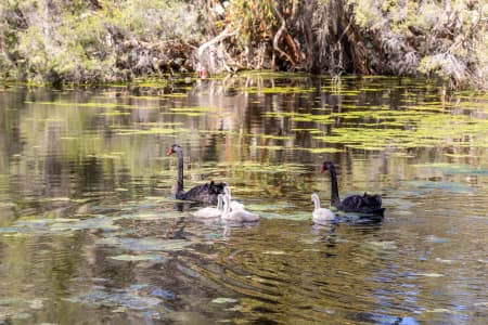 Aerial Image of PERTH