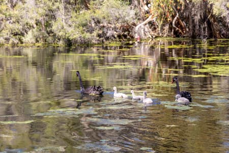 Aerial Image of PERTH