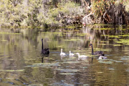 Aerial Image of PERTH