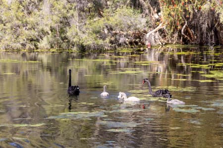Aerial Image of PERTH