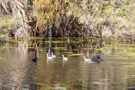 Aerial Image of PERTH
