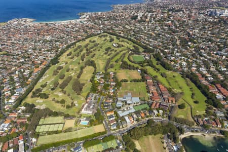 Aerial Image of ROSE BAY