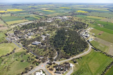 Aerial Image of BOOROOMA