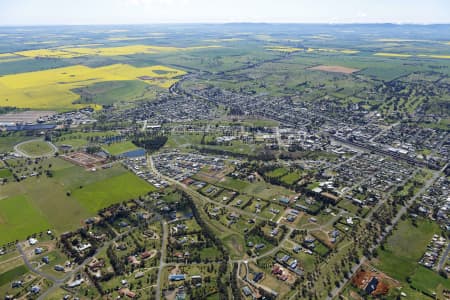 Aerial Image of JUNEE