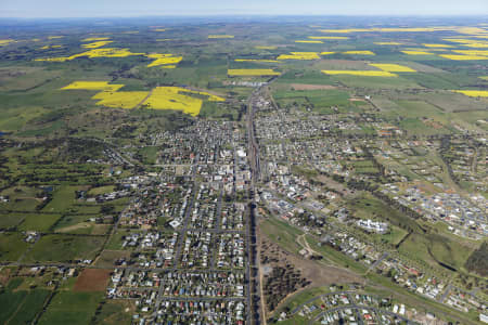Aerial Image of JUNEE