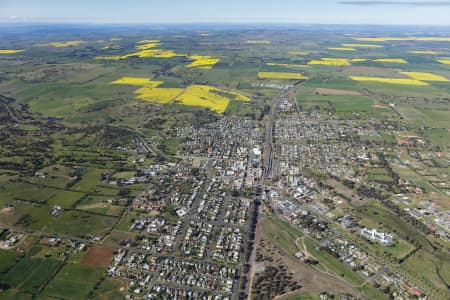 Aerial Image of JUNEE
