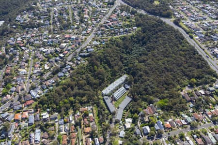 Aerial Image of Brookvale