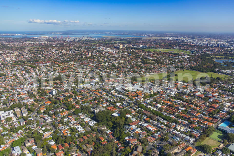 Aerial Image of Waverley