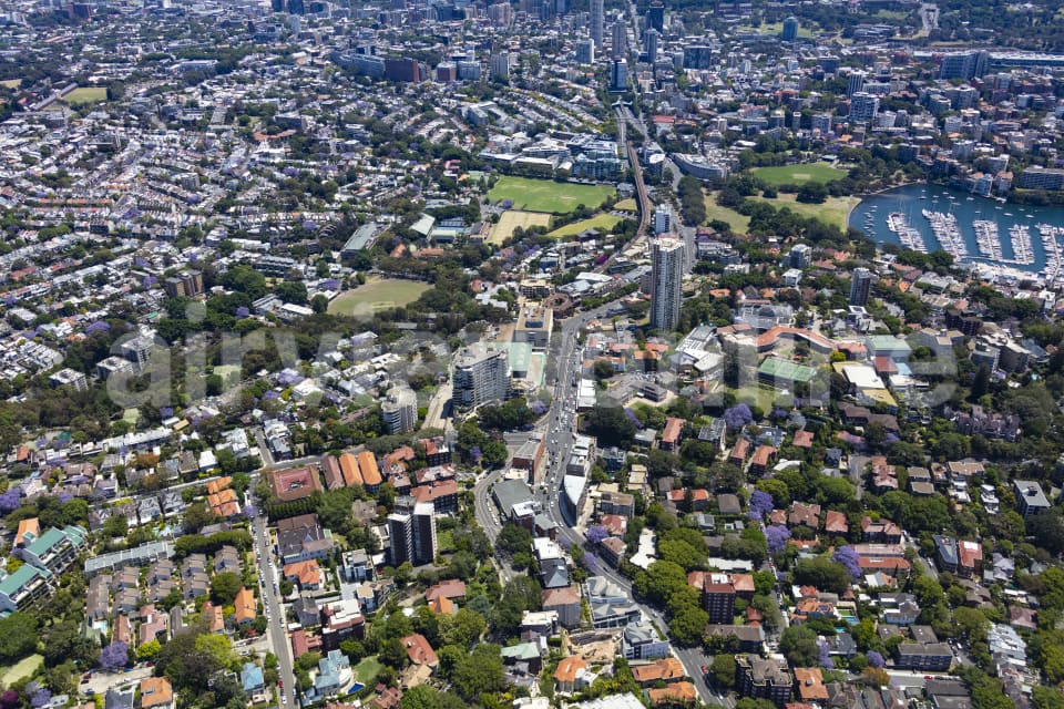 Aerial Image of Edgecliff