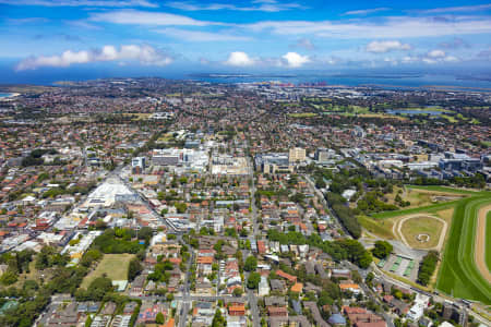 Aerial Image of RANDWICK