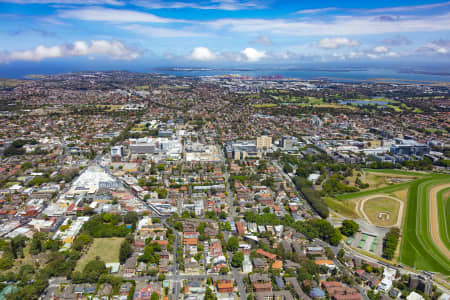 Aerial Image of RANDWICK