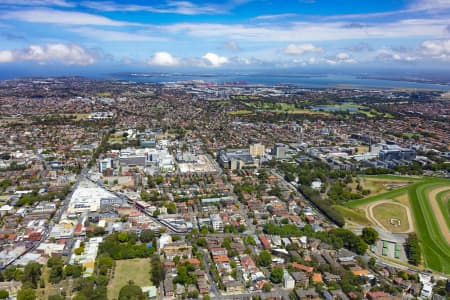 Aerial Image of RANDWICK