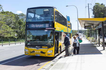 Aerial Image of WARRIEWOOD