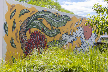 Aerial Image of BROOKVALE