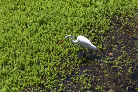 Aerial Image of NORTH NARRABEEN
