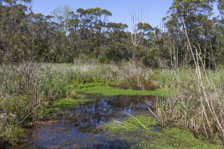 Aerial Image of NORTH NARRABEEN