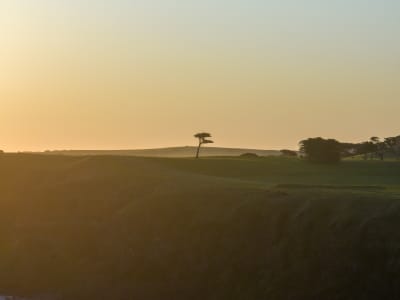 Aerial Image of FLINDERS